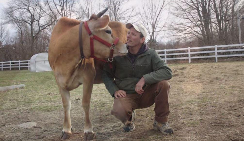 Peaceable Kingdom: The Journey Home (2009)