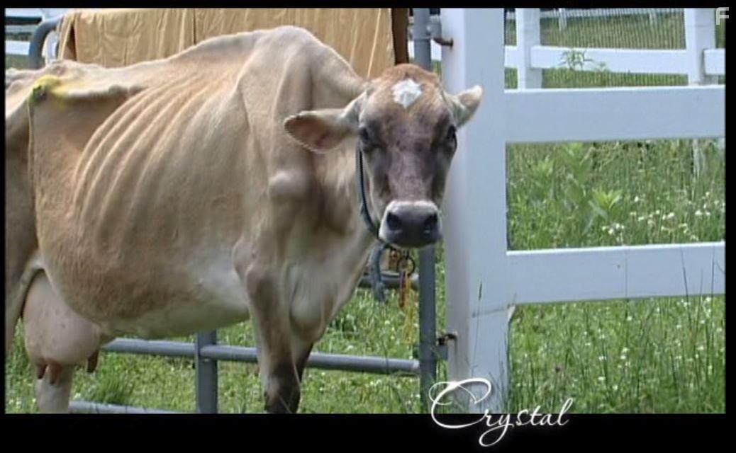 Peaceable Kingdom: The Journey Home (2009)