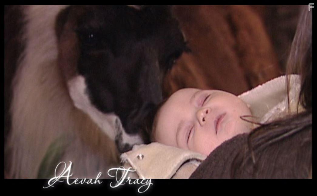 Peaceable Kingdom: The Journey Home (2009)