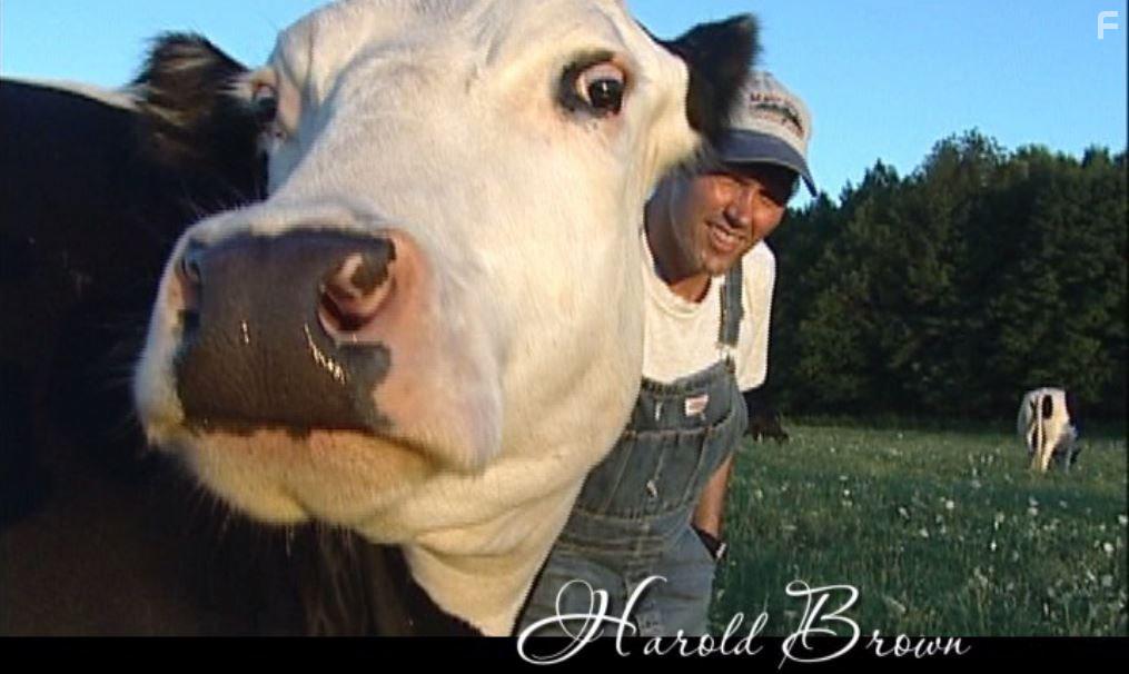 Peaceable Kingdom: The Journey Home (2009)