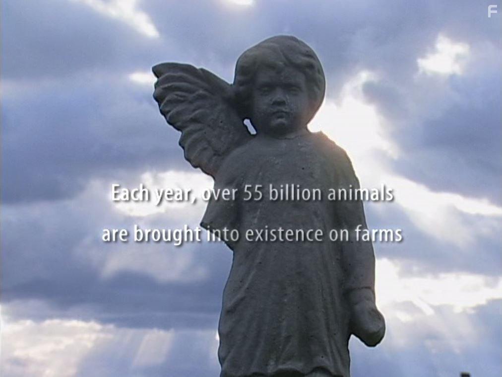 Peaceable Kingdom: The Journey Home (2009)