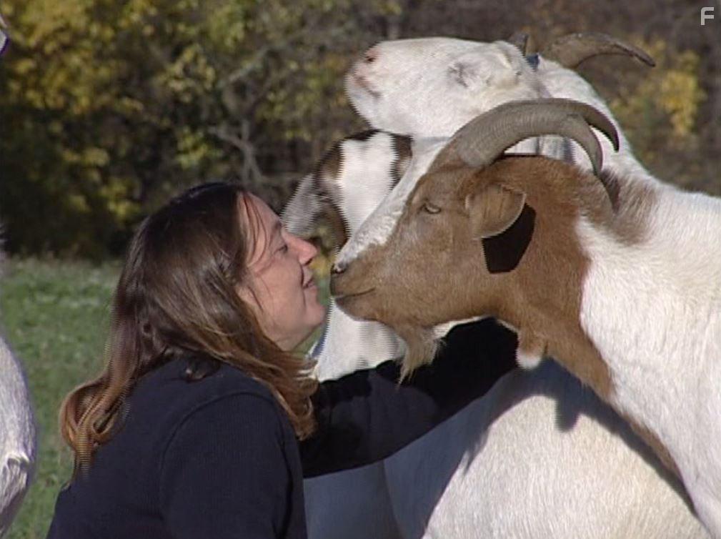 Peaceable Kingdom: The Journey Home (2009)