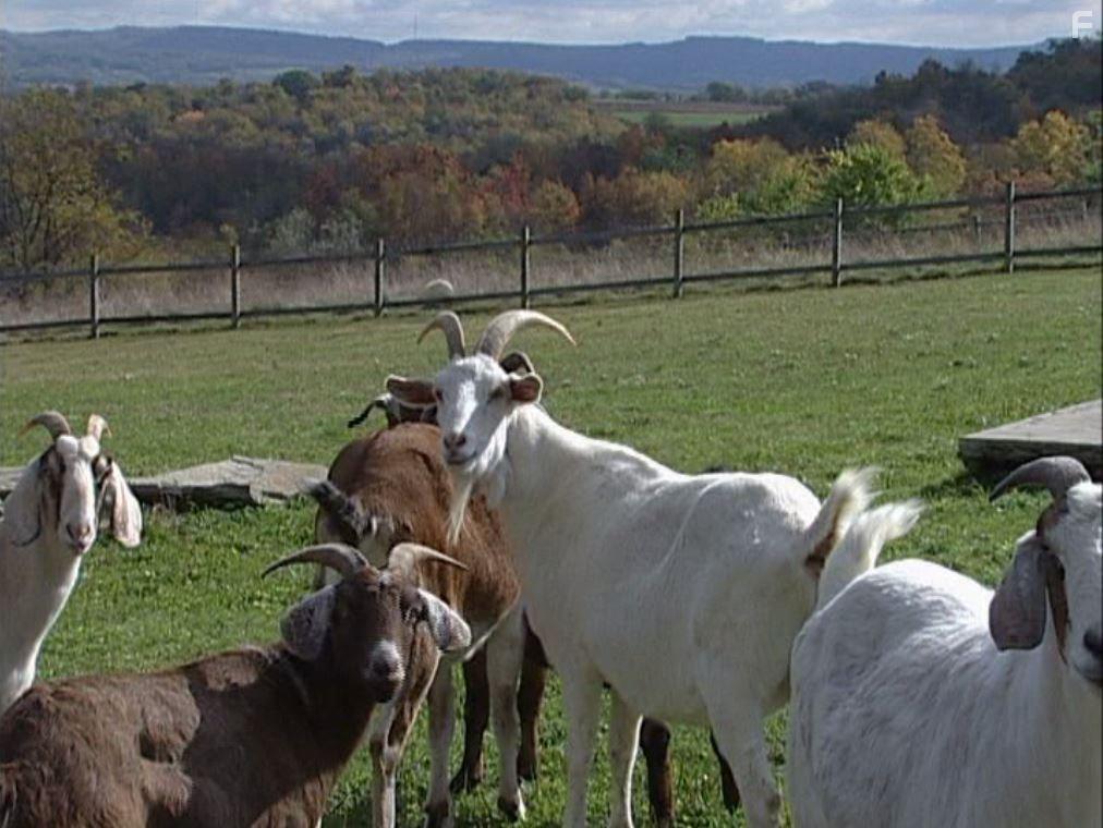 Peaceable Kingdom: The Journey Home (2009)