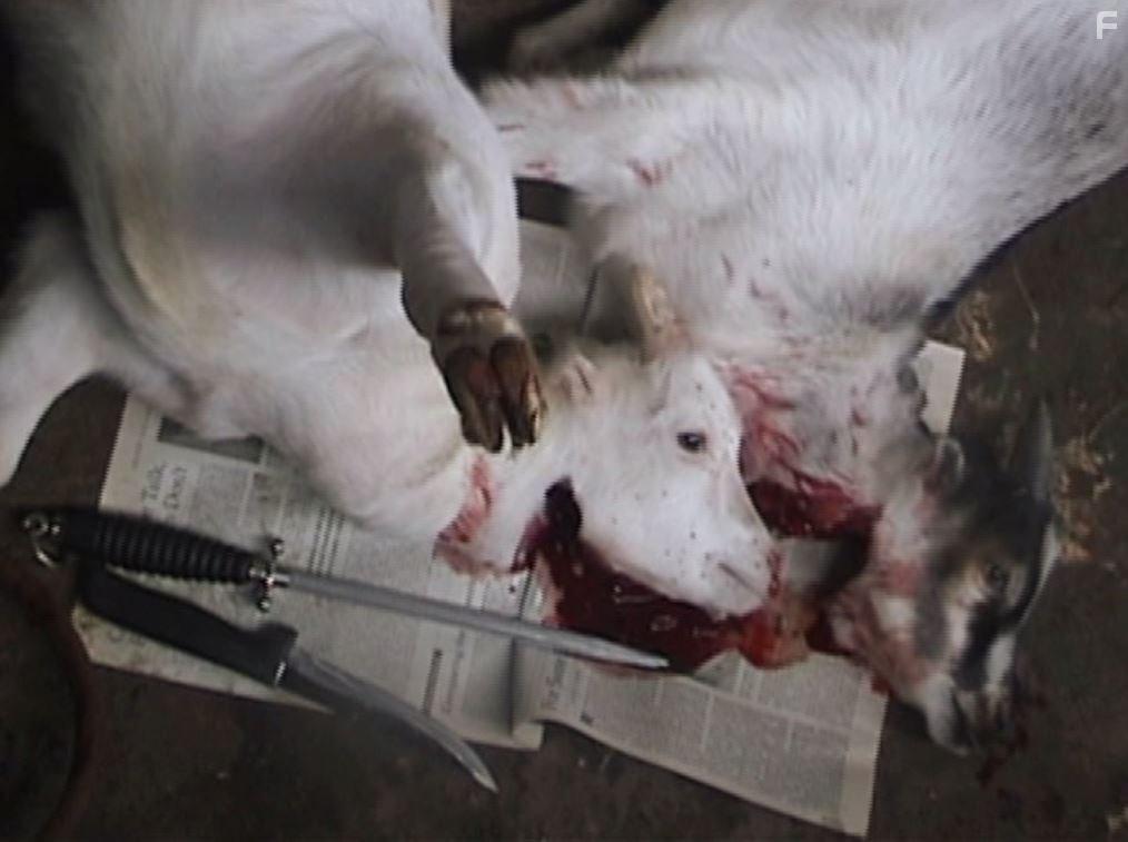 Peaceable Kingdom: The Journey Home (2009)