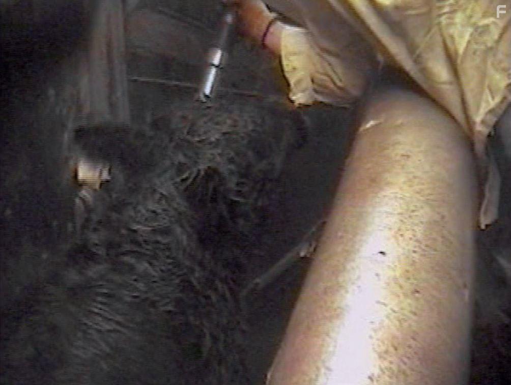 Peaceable Kingdom: The Journey Home (2009)