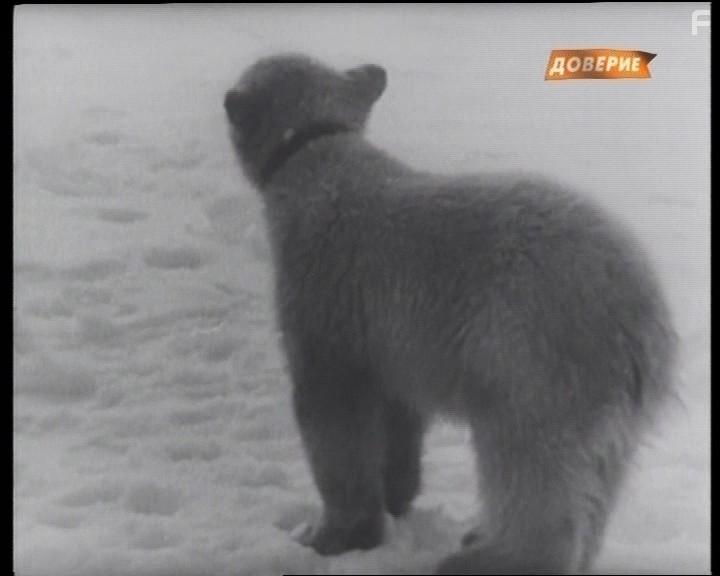 Клятва Гиппократа #7