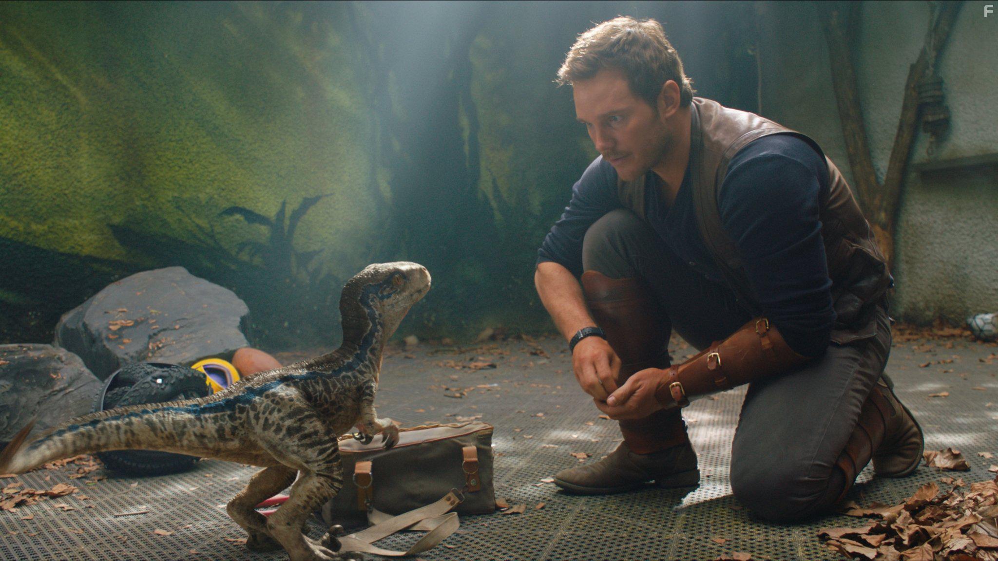 Chris Pratt in Jurassic World: Fallen Kingdom (2018)