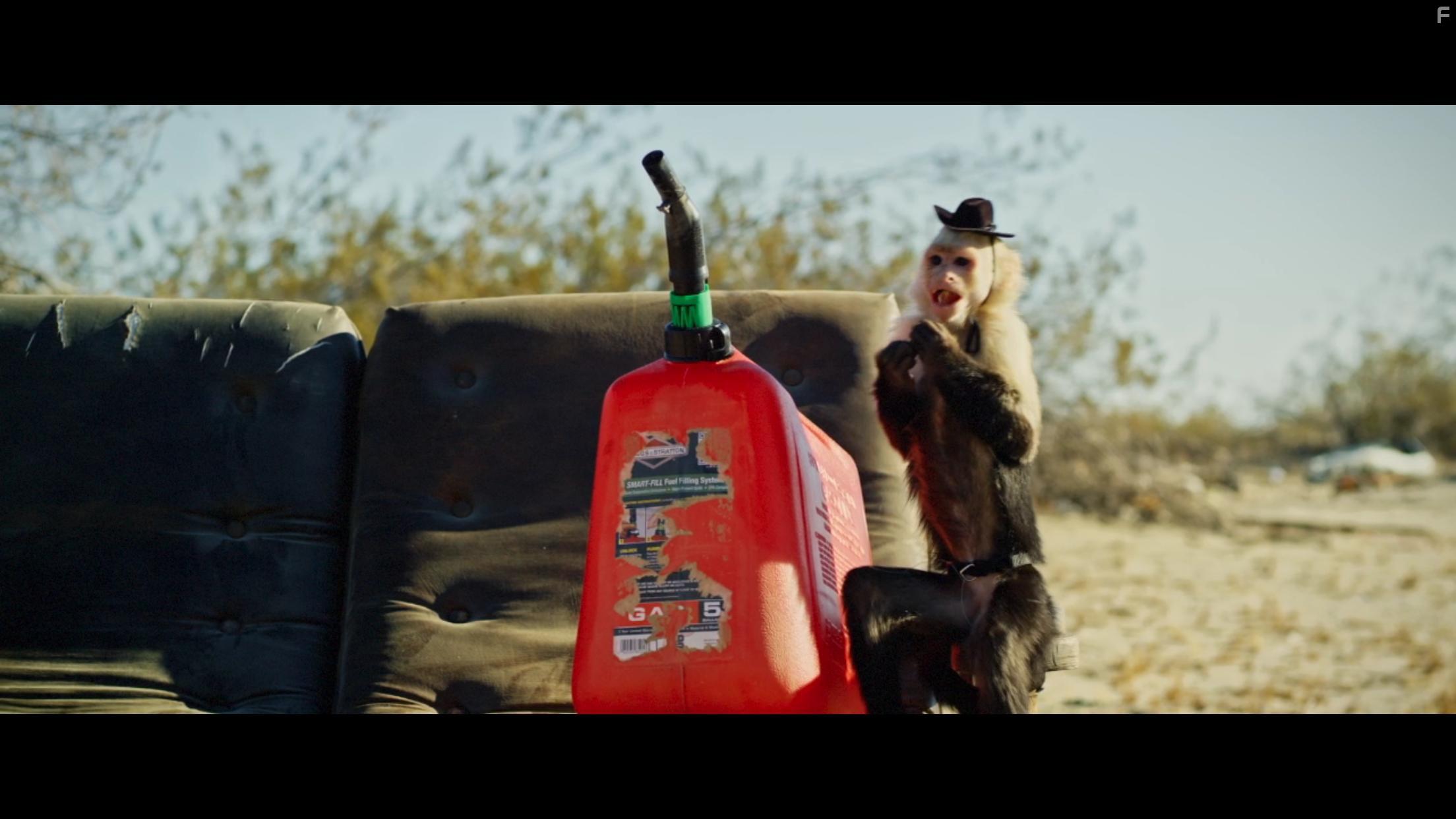 Finding Mother (2017)