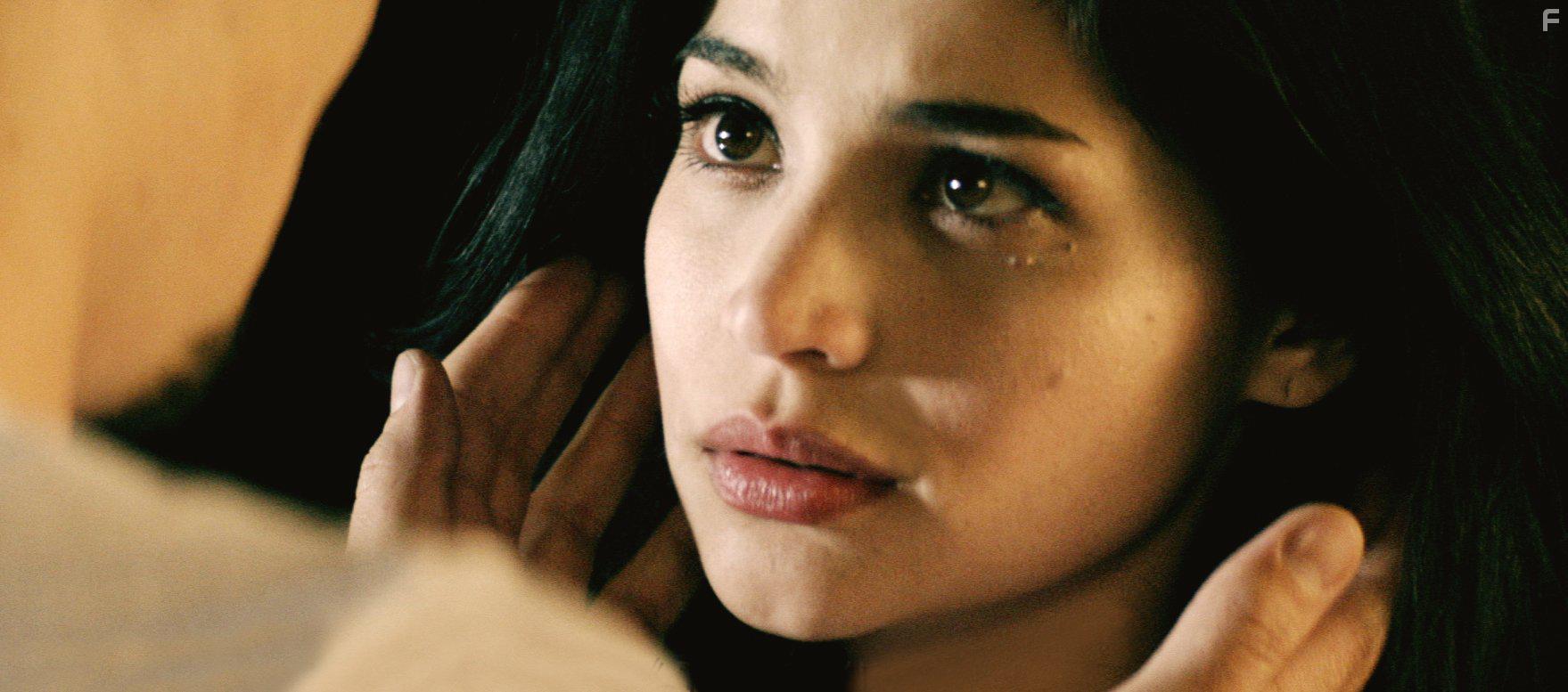 Anne Curtis in Blood Ransom (2014)