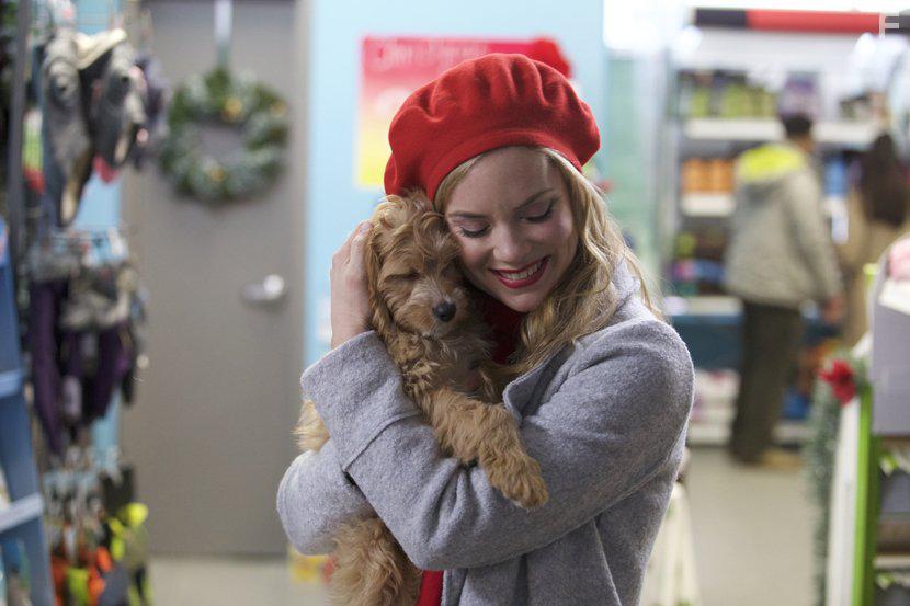 A Puppy for Christmas (2016)