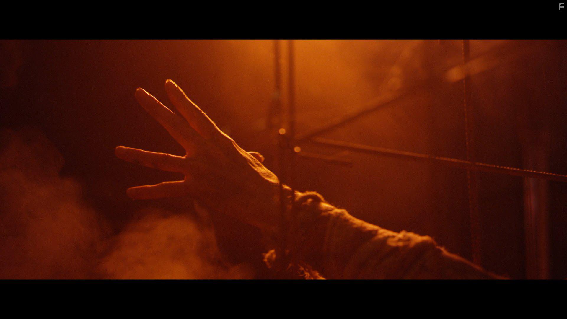 Escape from Cannibal Farm (2017)