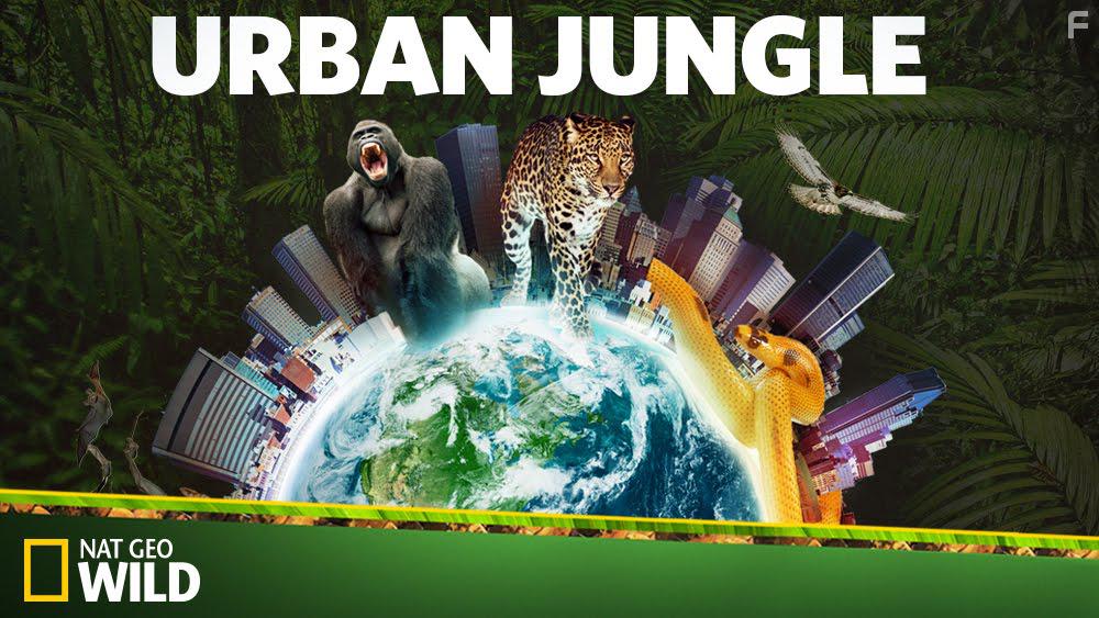 Городские джунгли