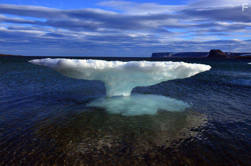 Полярные воды