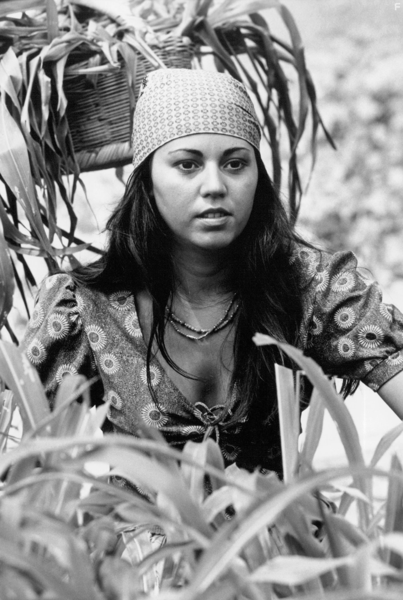 Seidy Lopez in Соло (1996)