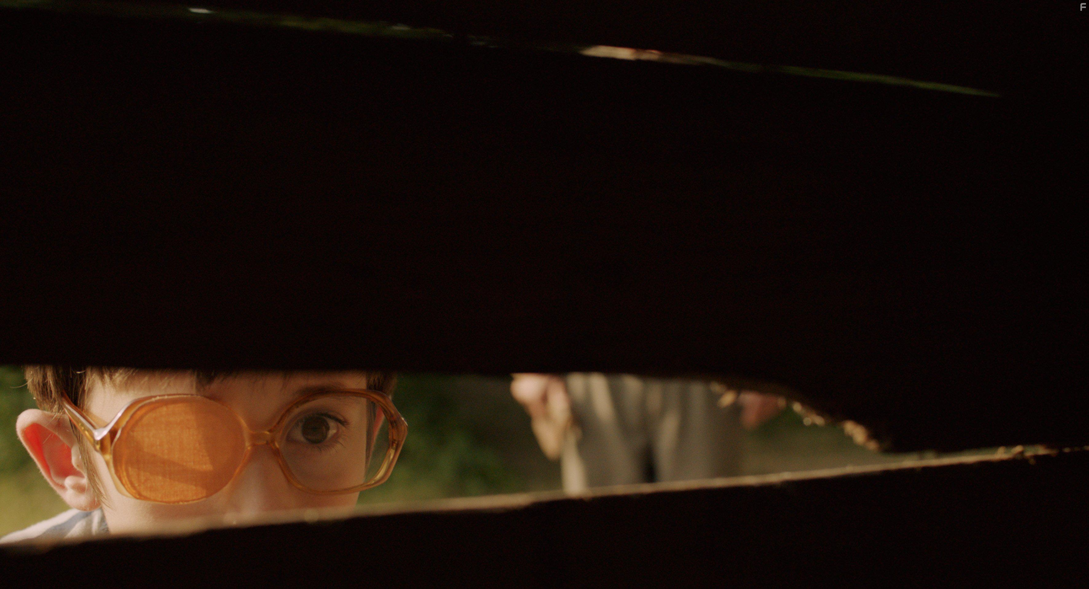 Uzbuna na Zelenom Vrhu (2017)