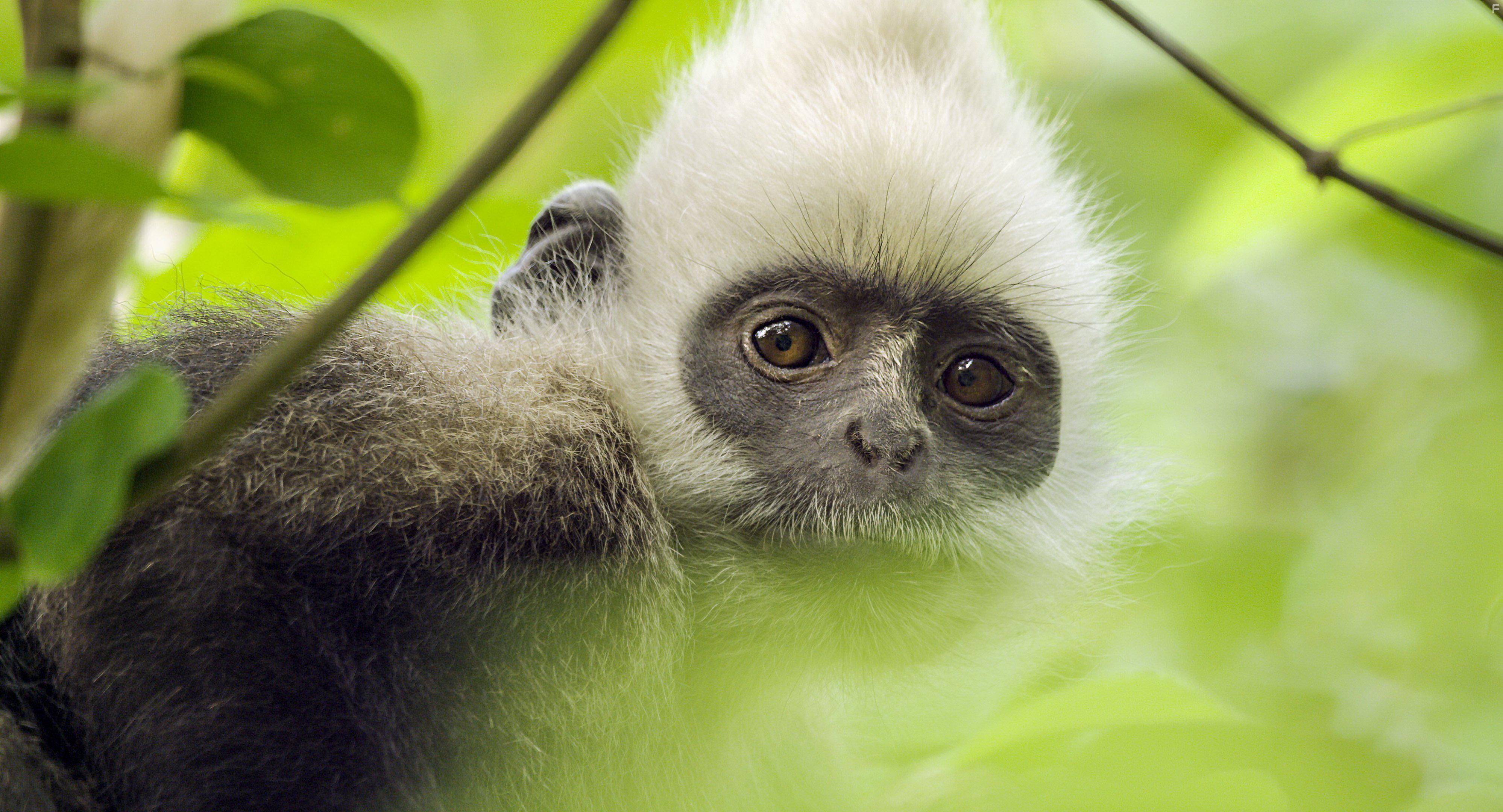 Earth: One Amazing Day (2017)