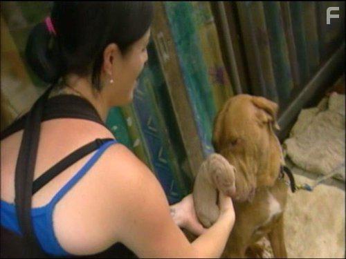 Дикие и опасные