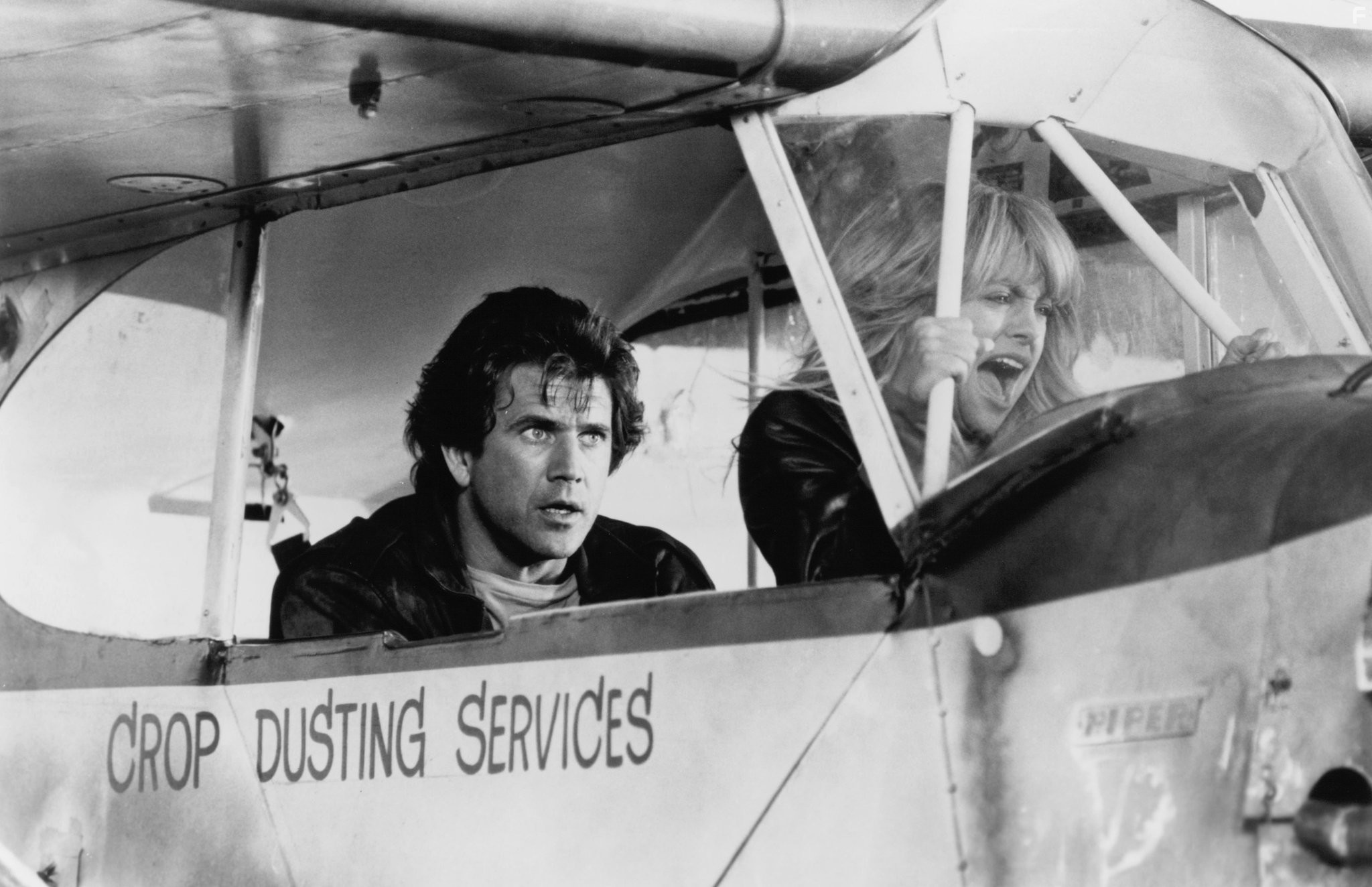 Птичка на проводе