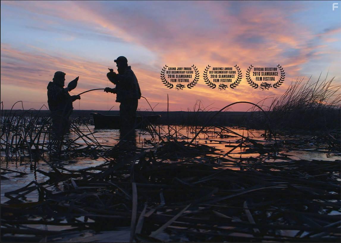 Утка на миллион #4