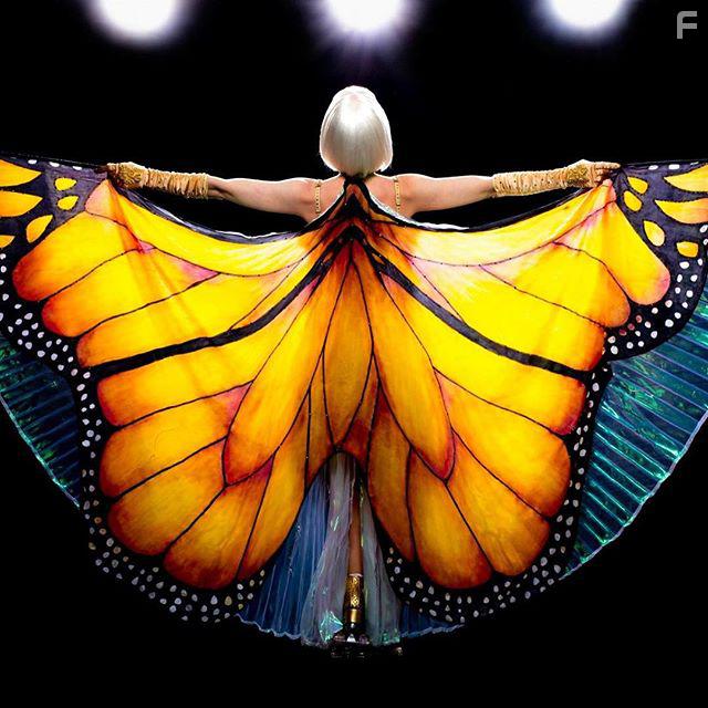 Редкая бабочка #2