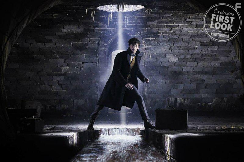 Eddie Redmayne in Fantastic Beasts: The Crimes of Grindelwald (2018)