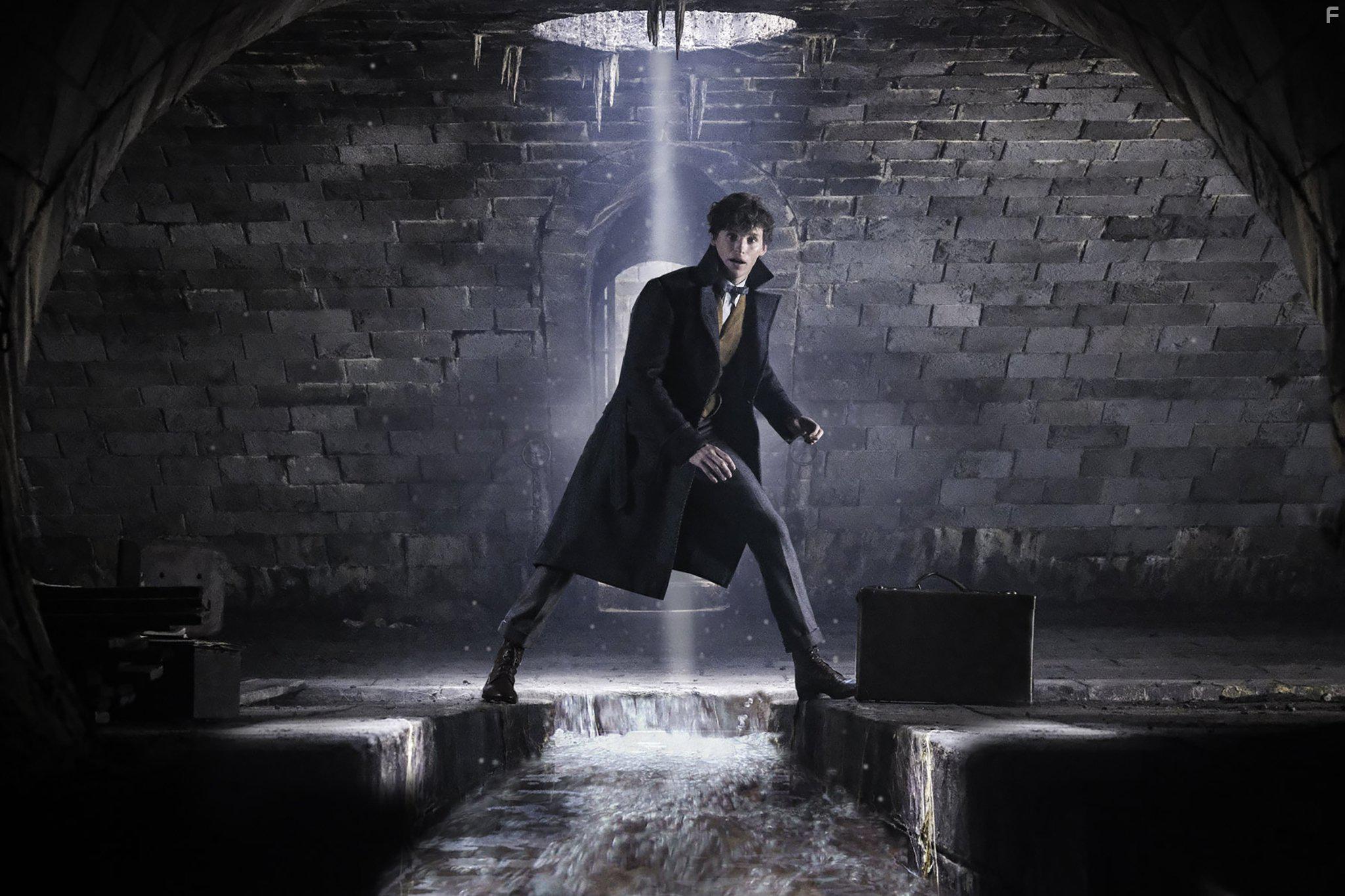 Eddie Redmayne in Fantastic Beasts: The Crimes of Grindelwald (2018)
