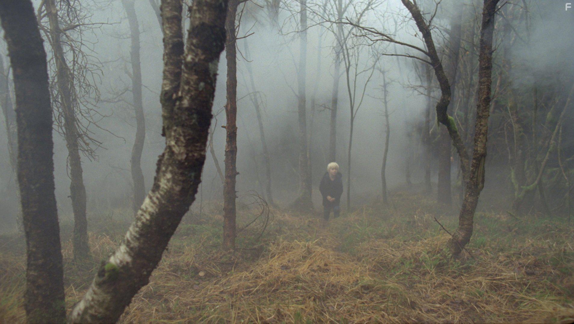 Adam Ekeli in Skyggenes dal (2017)