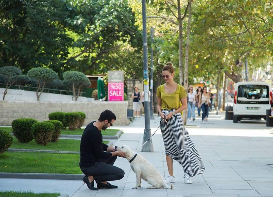 Sedef Avci and Baris Ardu in Mutluluk Zamani (2017)