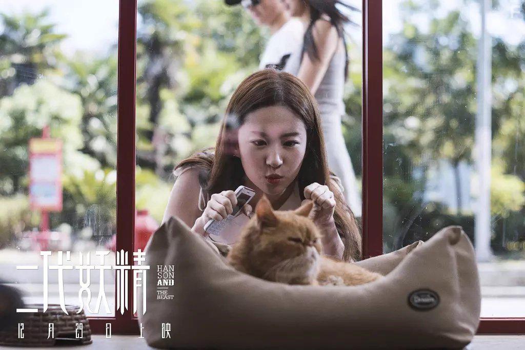 Er dai yao jing (2017)