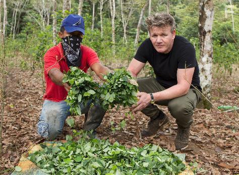 Gordon Ramsay in Gordon on Cocaine (2017)