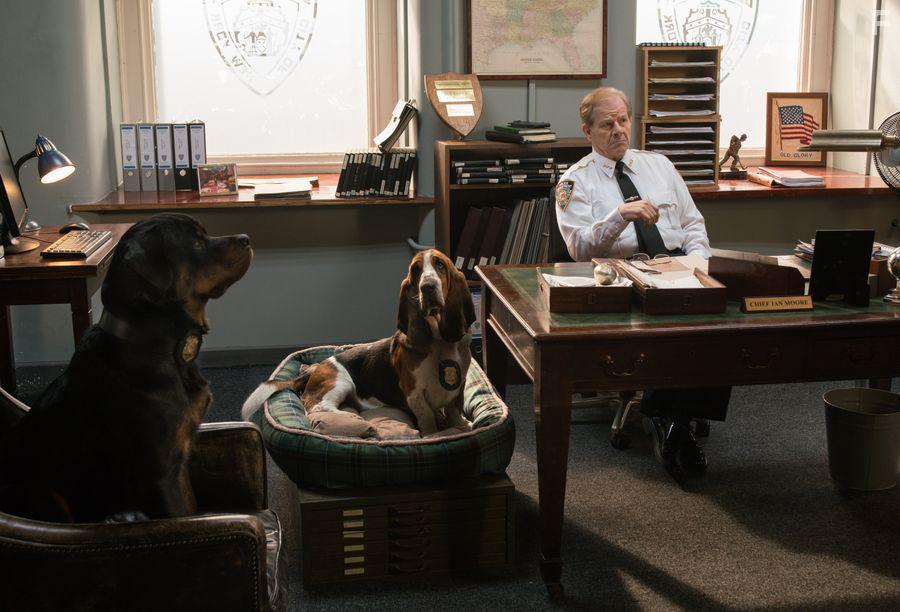 Псы под прикрытием