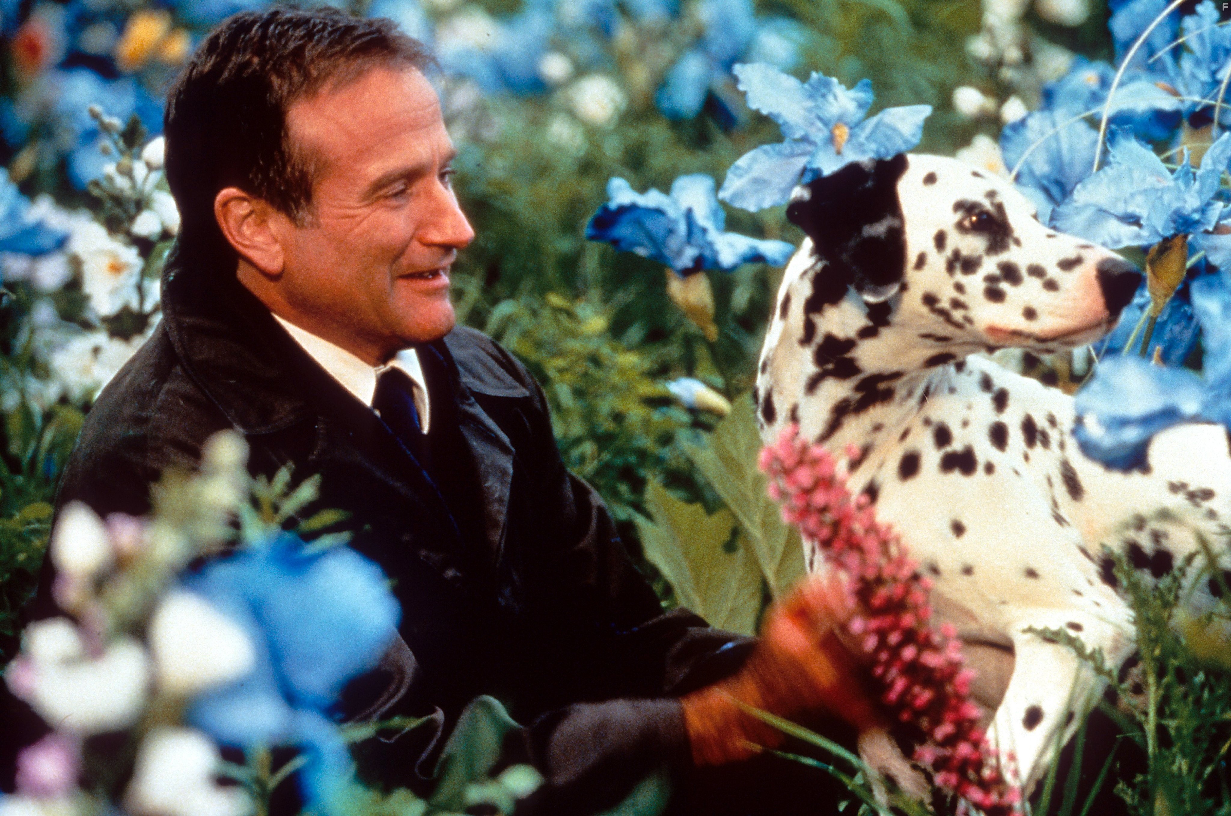 Robin Williams in Куда приводят мечты (1998)