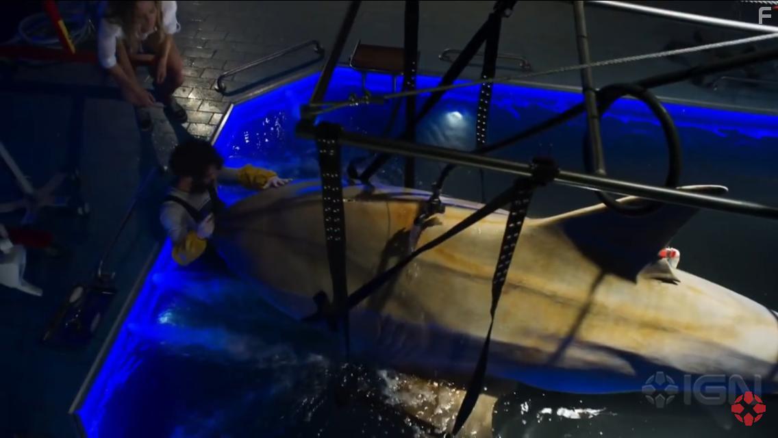 Deep Blue Sea 2 (2018)