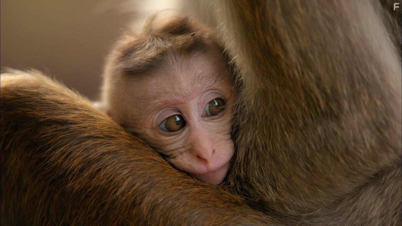 Growing Up Wild (2016)