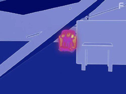 Surviving Disaster (2009)