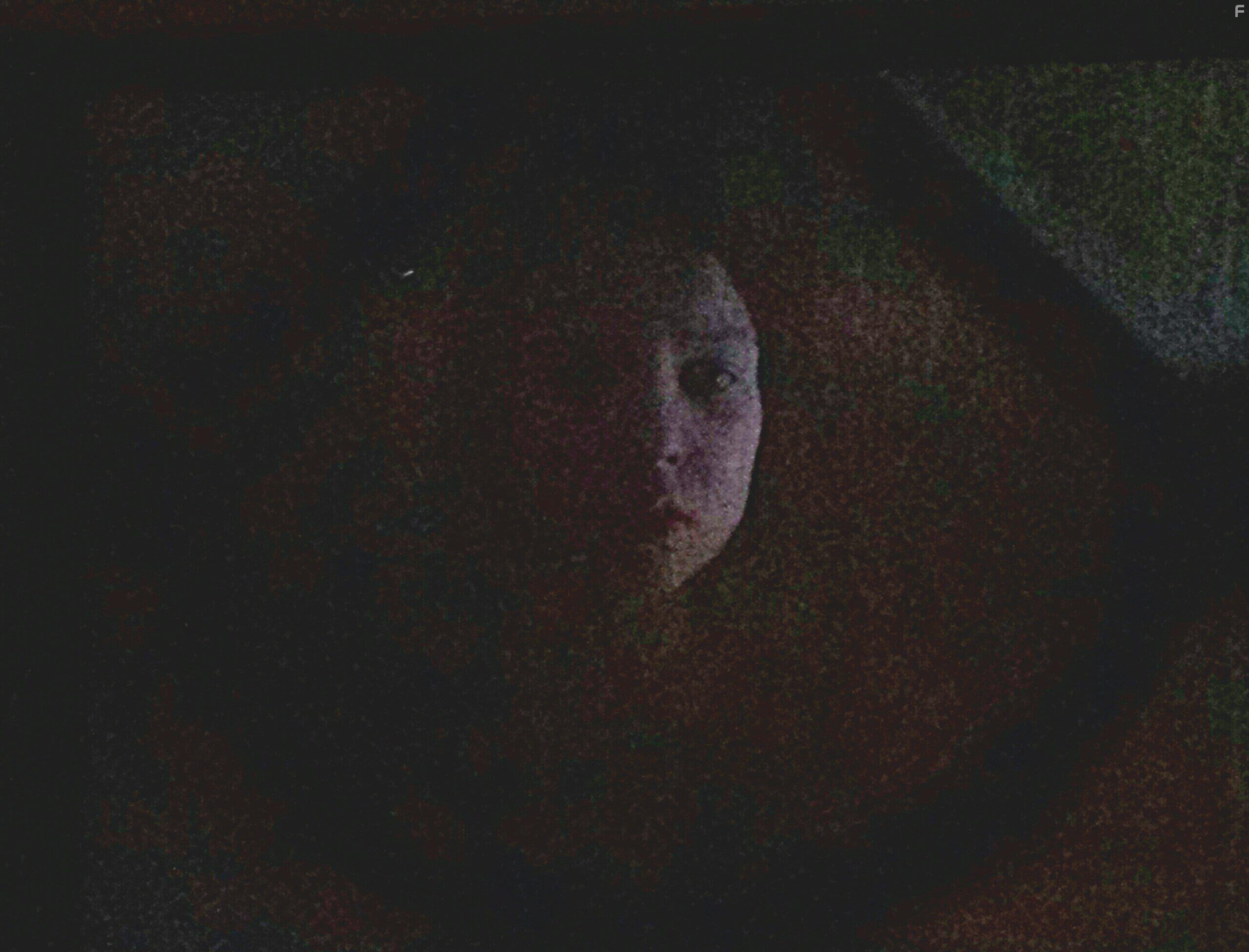 Isabelle Nlisse in Wait Till Helen Comes (2016)