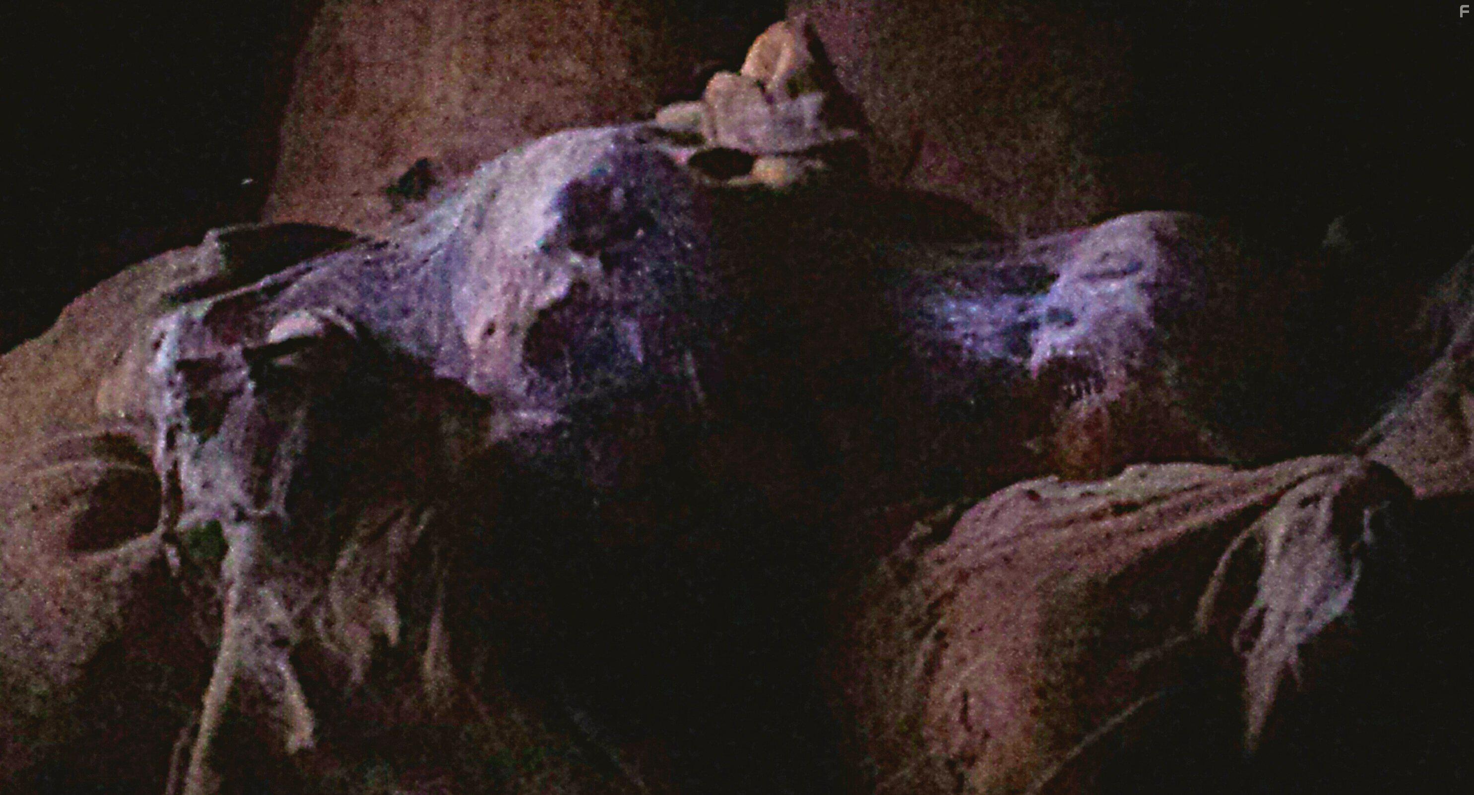 Wait Till Helen Comes (2016)