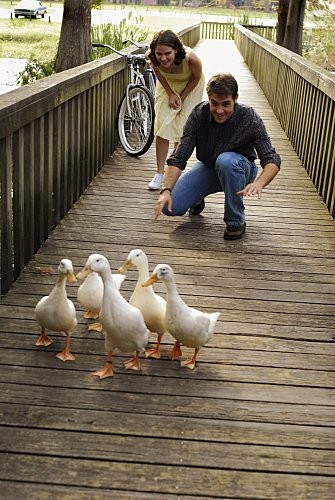 Treat Williams, Sarah Drew, and James Wolk in Перед классом (2008)