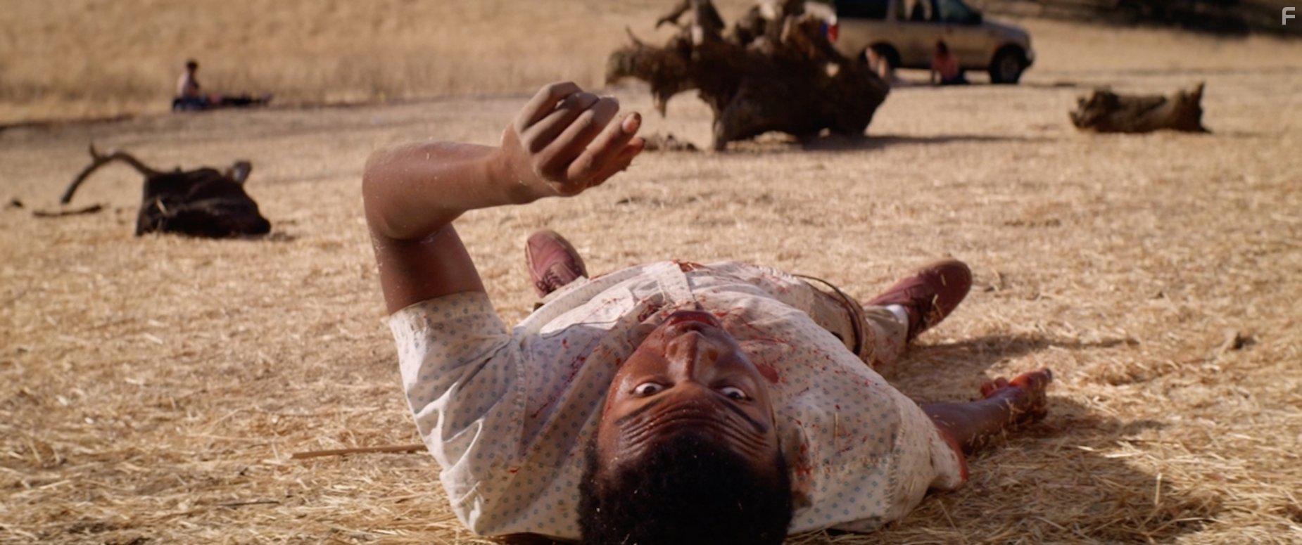 Стрельба по мишеням