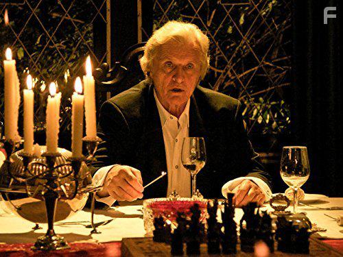 Flight of the Storks (2012)