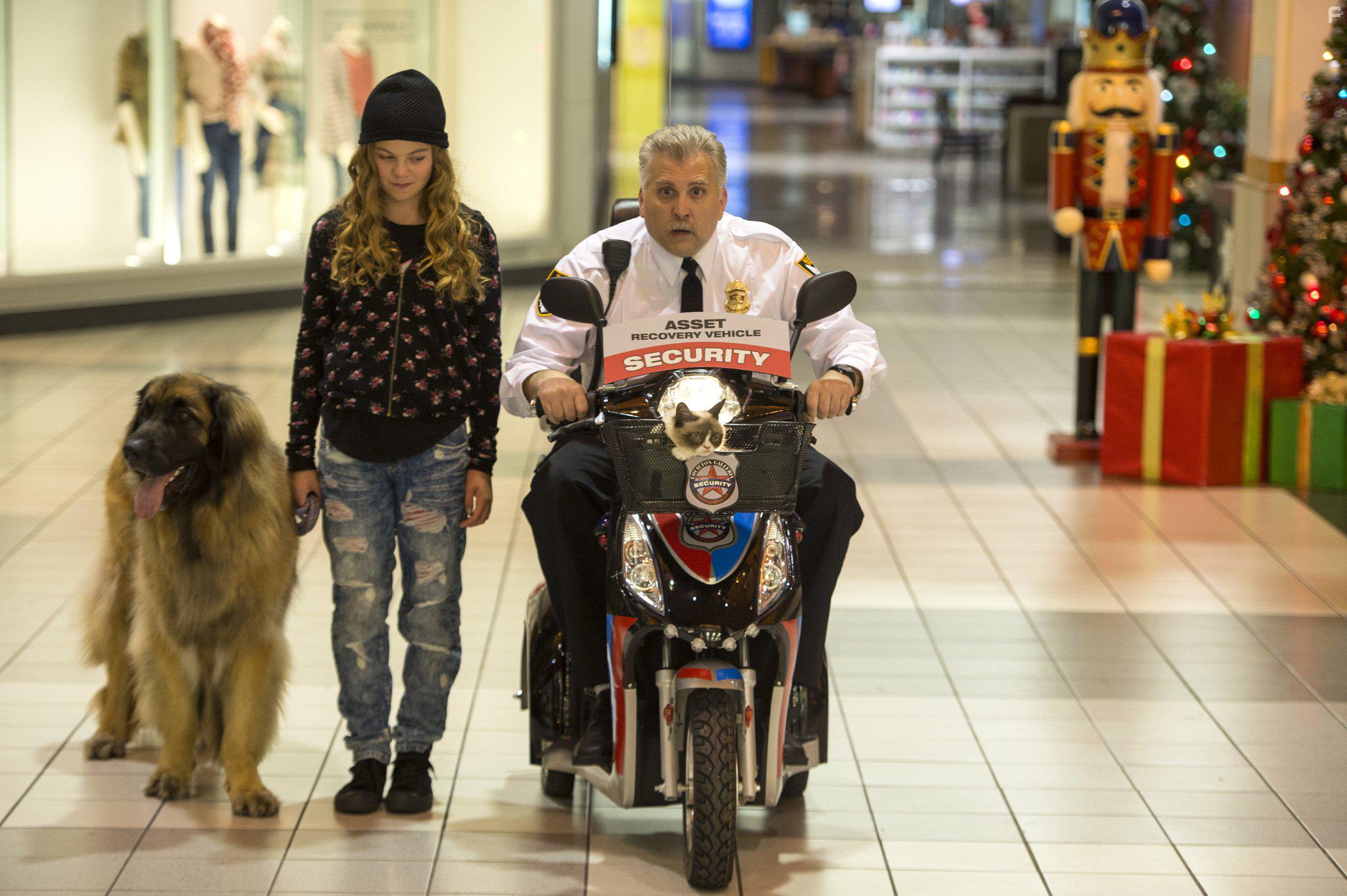 Daniel Roebuck, Megan Charpentier, and Grumpy Cat in Grumpy Cat's Worst Christmas Ever (2014)