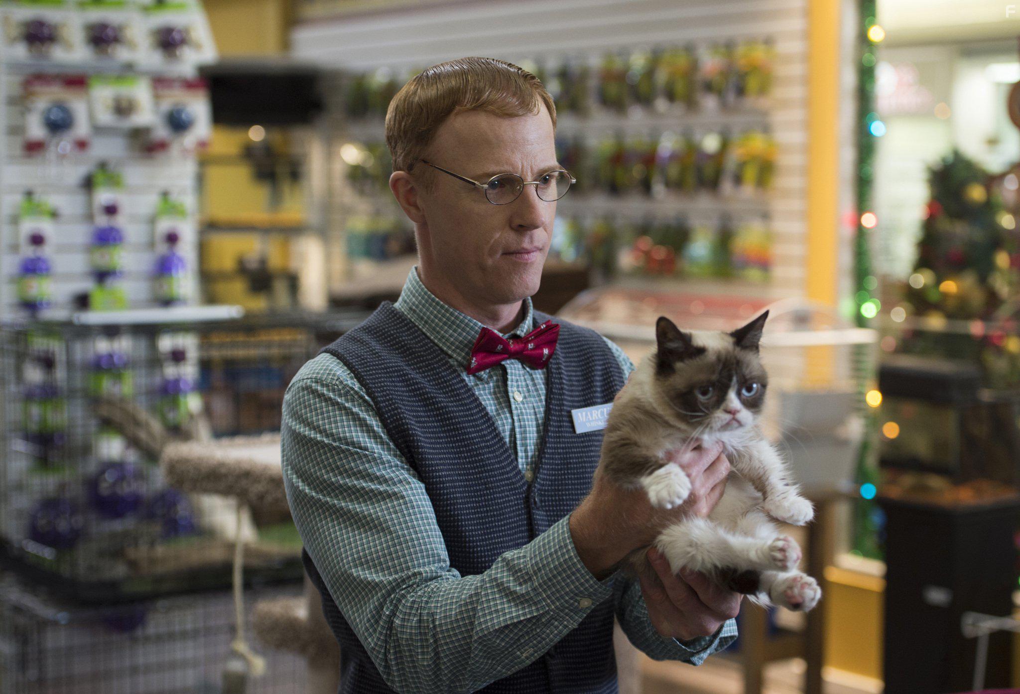Grumpy Cat in Grumpy Cat's Worst Christmas Ever (2014)