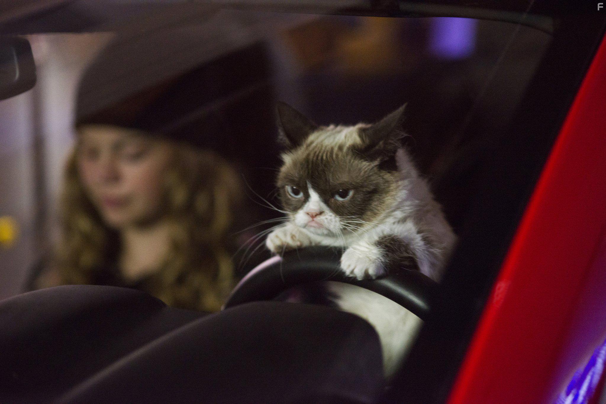 Megan Charpentier and Grumpy Cat in Grumpy Cat's Worst Christmas Ever (2014)