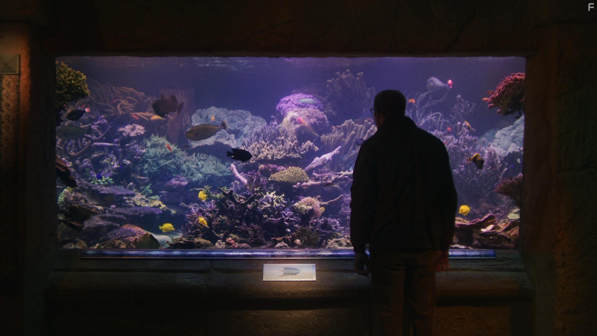 Joe Pera in Relaxing Old Footage with Joe Pera (2020)