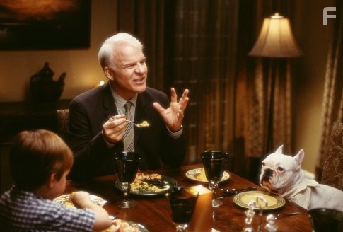 Steve Martin in Дом вверх дном (2003)