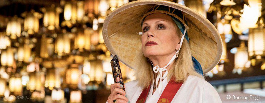 Joanna Lumley in Joanna Lumley's Japan (2016)