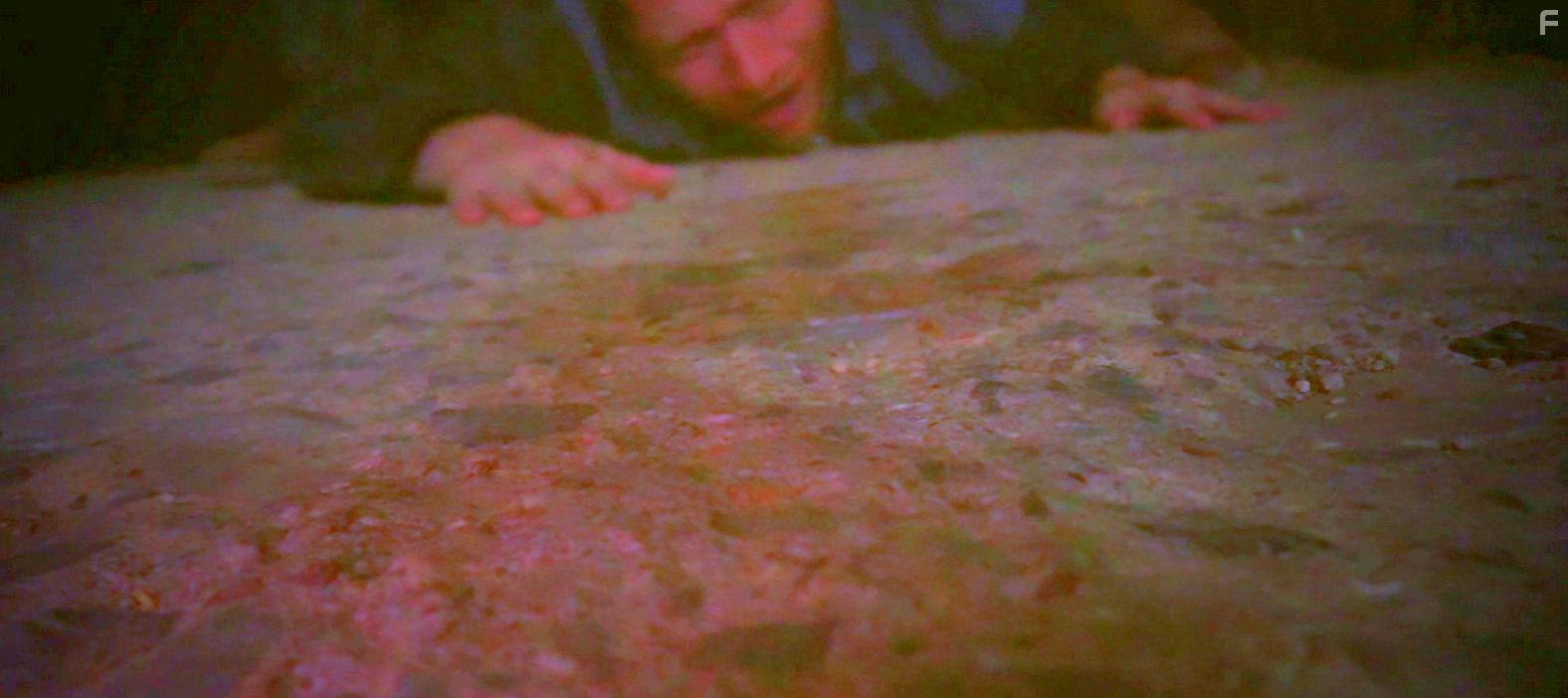 Питомник обезьян #4