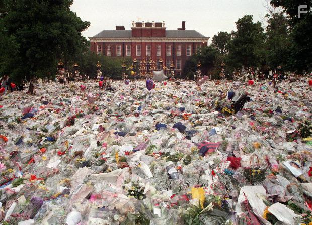 Диана, 7 дней