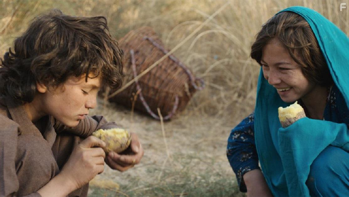 Волк и овца