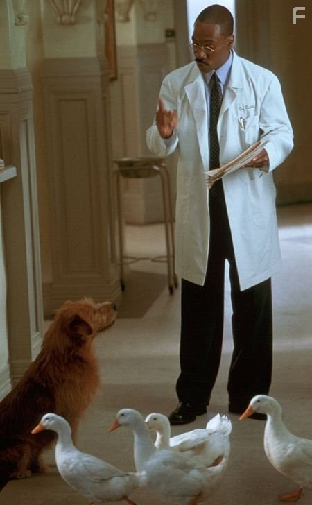 Eddie Murphy in Доктор Дулиттл 2 (2001)